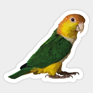 yellow-headed caique Sticker